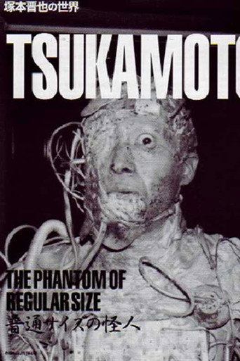 The Phantom of Regular Size movie poster