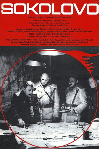 Sokolovo movie poster