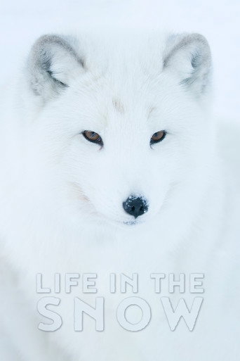Life In The Snow movie poster