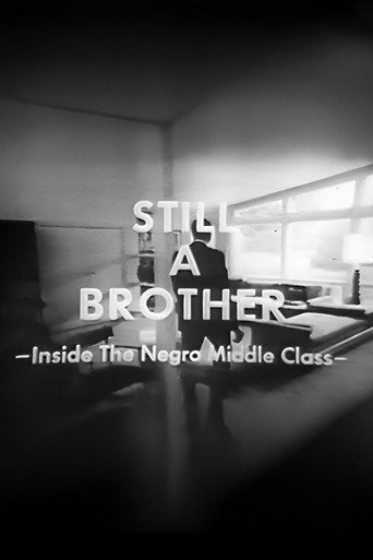 Still A Brother: Inside the Negro Middle Class movie poster