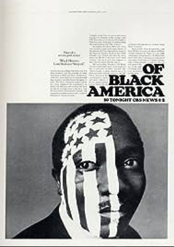 The Heritage of Slavery - Of Black America movie poster