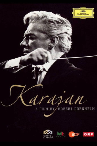 Karajan: Beauty As I See It movie poster