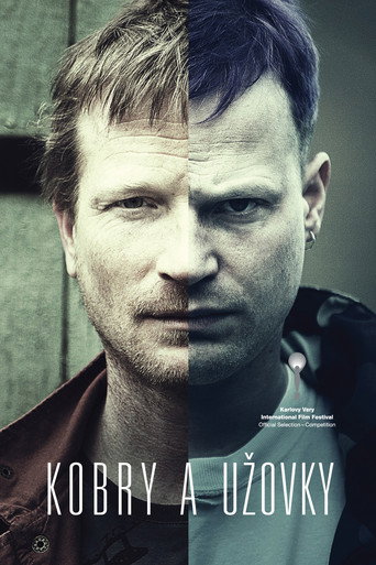 The Snake Brothers movie poster