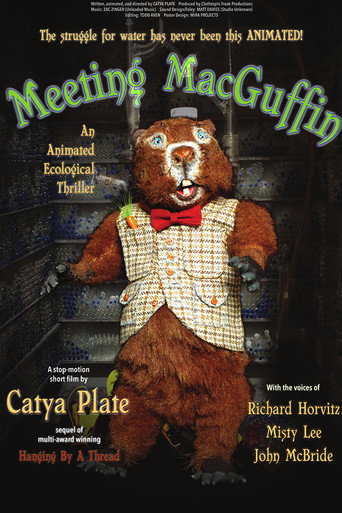 Meeting MacGuffin movie poster