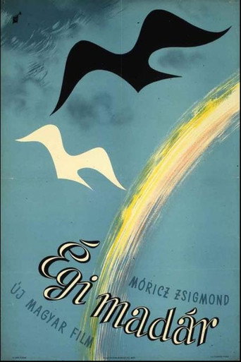A Bird of Heaven movie poster