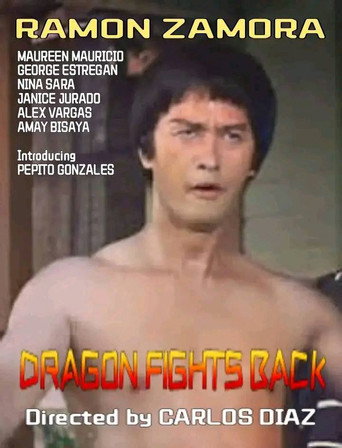 Dragon Fights Back movie poster
