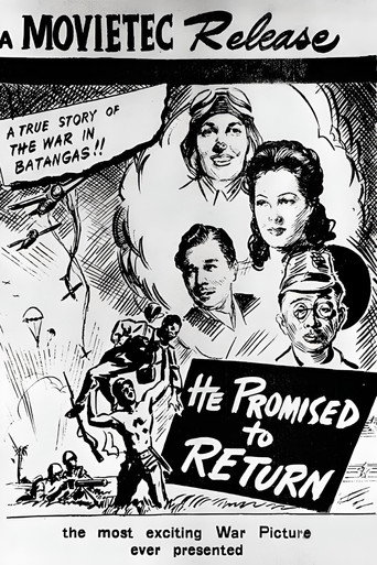 He Promised to Return movie poster