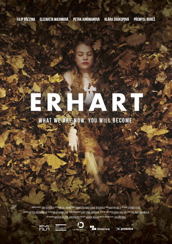 Erhart movie poster