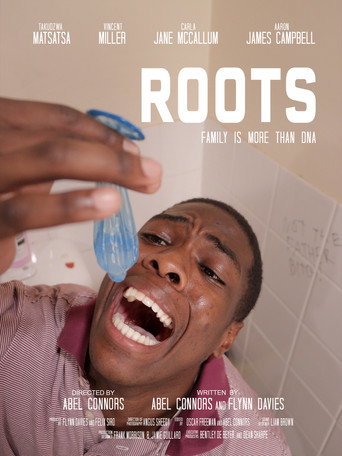 Roots movie poster
