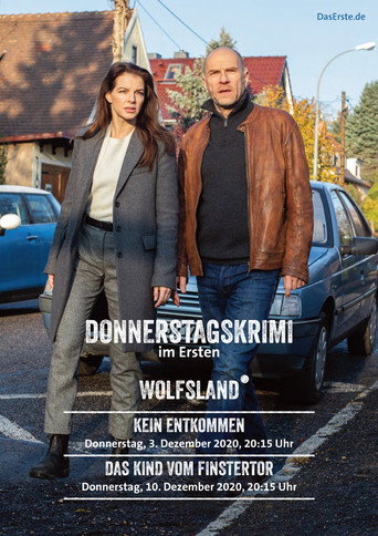 Wolfsland - Das Kind vom Finstertor movie poster