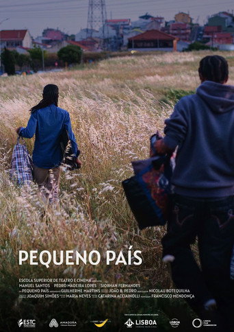Pequeno País movie poster