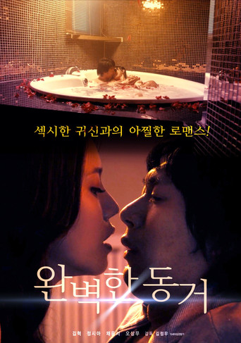 Perfect Cohabitation movie poster