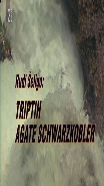 Triptych of Agata Schwarzkobler movie poster