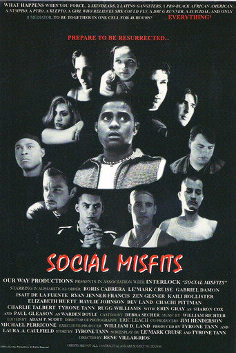 Social Misfits movie poster