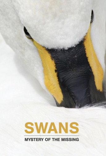 Swans: Mystery of the Missing movie poster