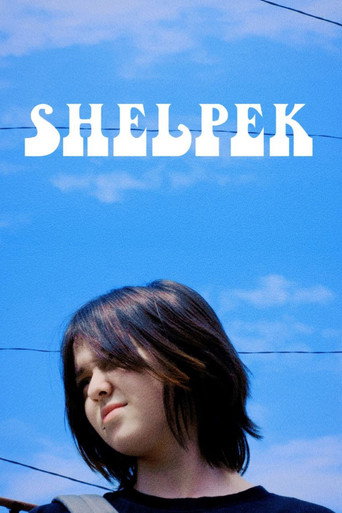 Shelpek movie poster