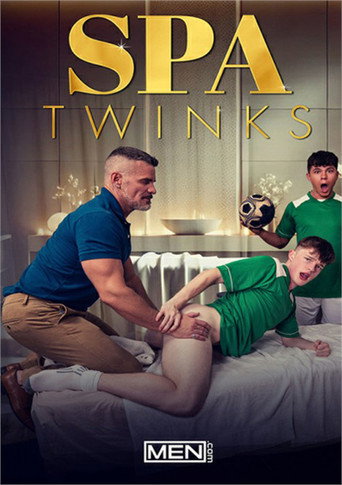 Spa Twinks movie poster