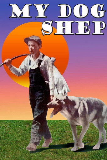 My Dog Shep movie poster