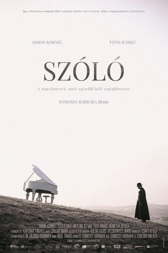 Szóló movie poster