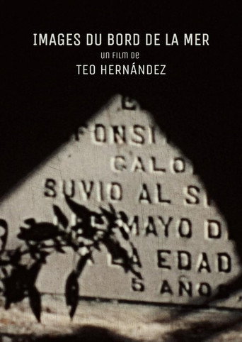 Images from The Seaside movie poster