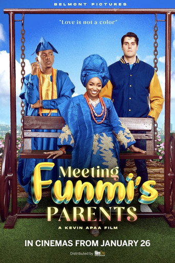 Meeting Funmi's Parents movie poster