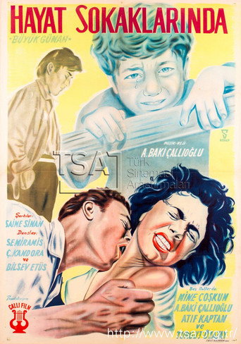 Hayat Sokaklarında movie poster