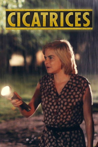 Cicatrices movie poster
