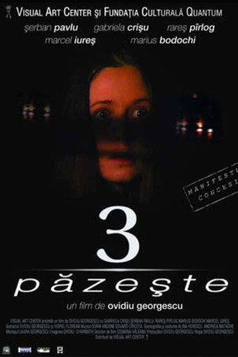 3 păzește movie poster