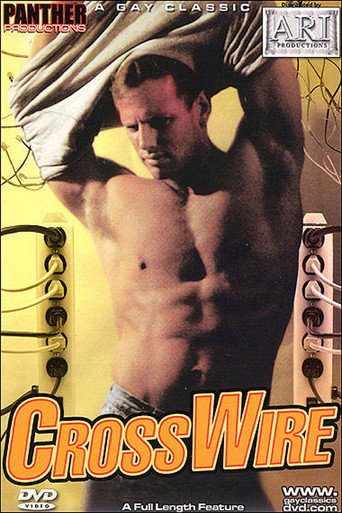 Crosswire movie poster