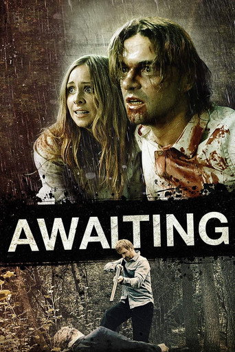 Awaiting movie poster
