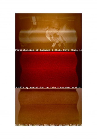 Persistencies of Sadness & Still Days (Take 1) movie poster