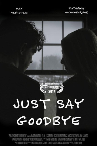 Just Say Goodbye movie poster