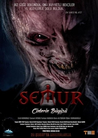 Semur 2: Cinlerin Büyüsü movie poster