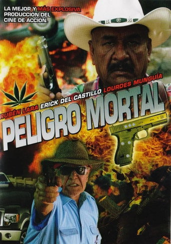 Mortal Danger movie poster