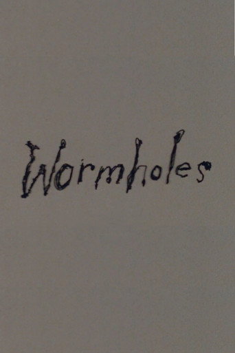 Wormholes movie poster