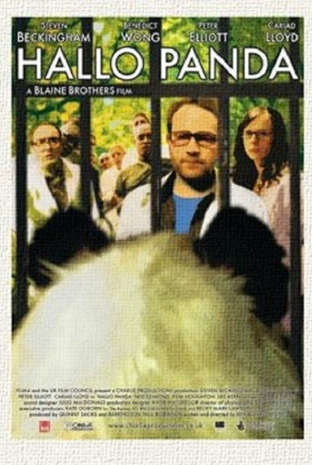Hallo Panda movie poster