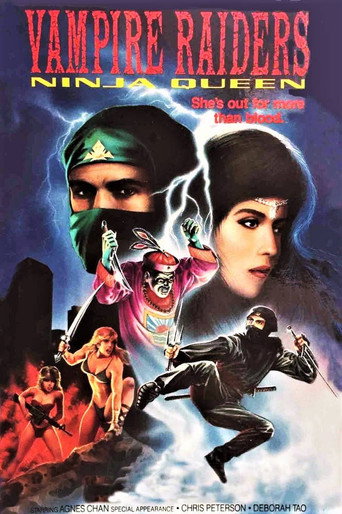 The Vampire Raiders movie poster