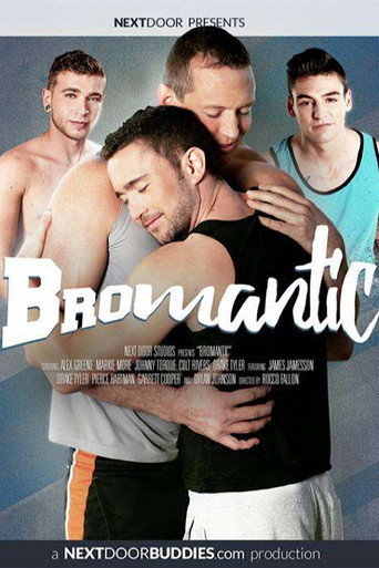 Bromantic movie poster