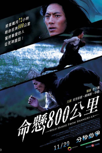 Wild Horse from Shangri-La movie poster