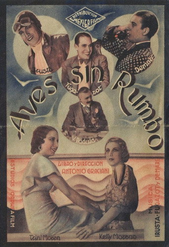 Aves sin rumbo movie poster