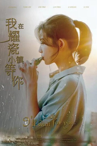 I'll Wait for You movie poster