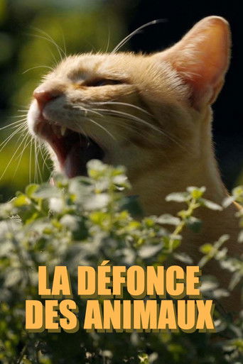 La défonce des animaux movie poster