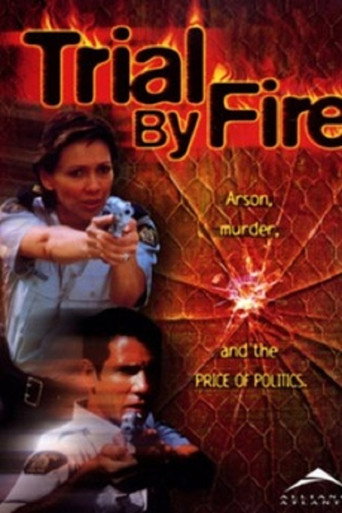 Trial By Fire: A North of 60 Mystery movie poster