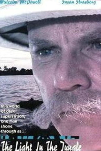 Schweitzer movie poster