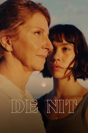 De nit movie poster