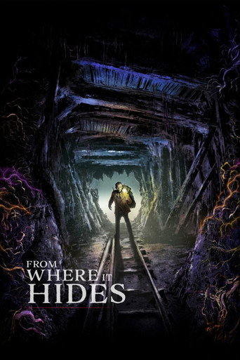 From Where it Hides movie poster