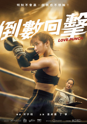 Love Punch movie poster