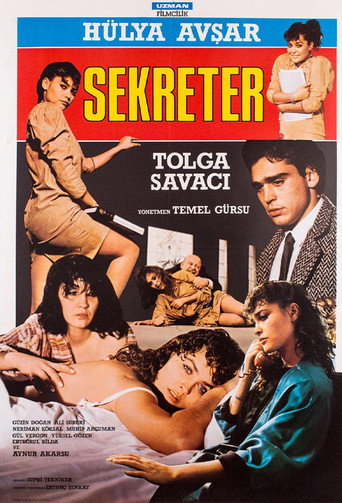 Secretary movie poster
