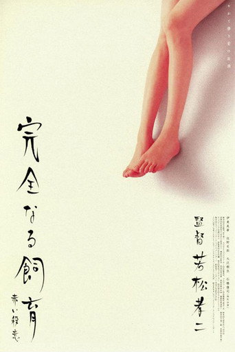 Perfect Education 6 movie poster