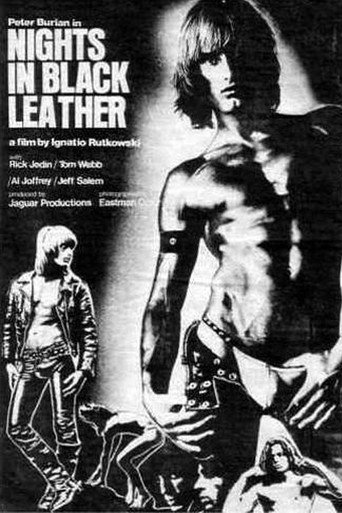 Nights in Black Leather movie poster